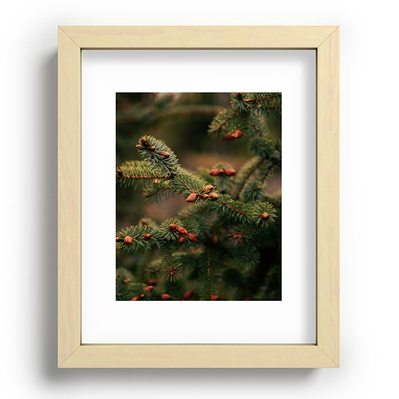 Hannah Kemp Spruce Tips Recessed Framing Rectangle
