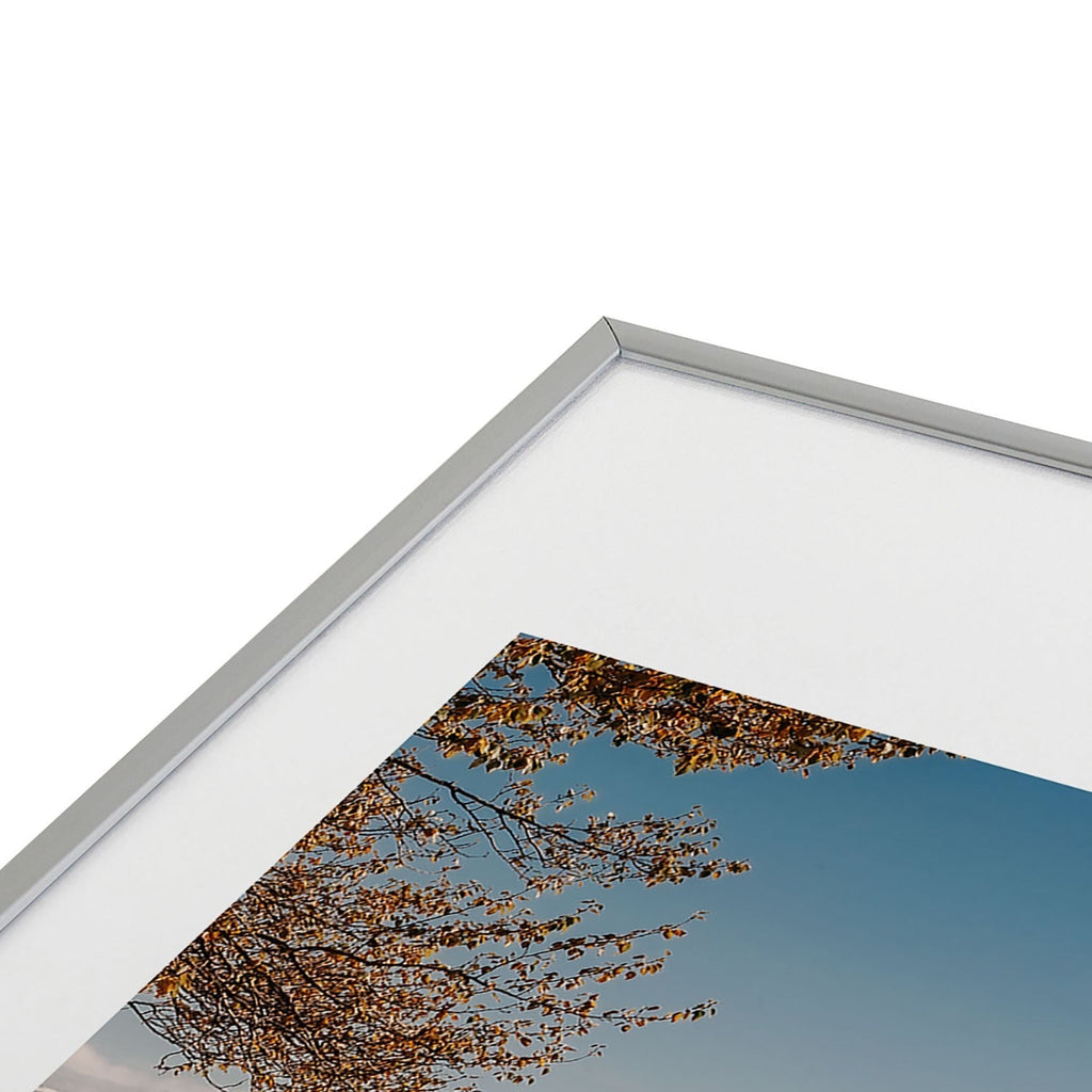 Hannah Kemp Homer Metal Framed Art Print