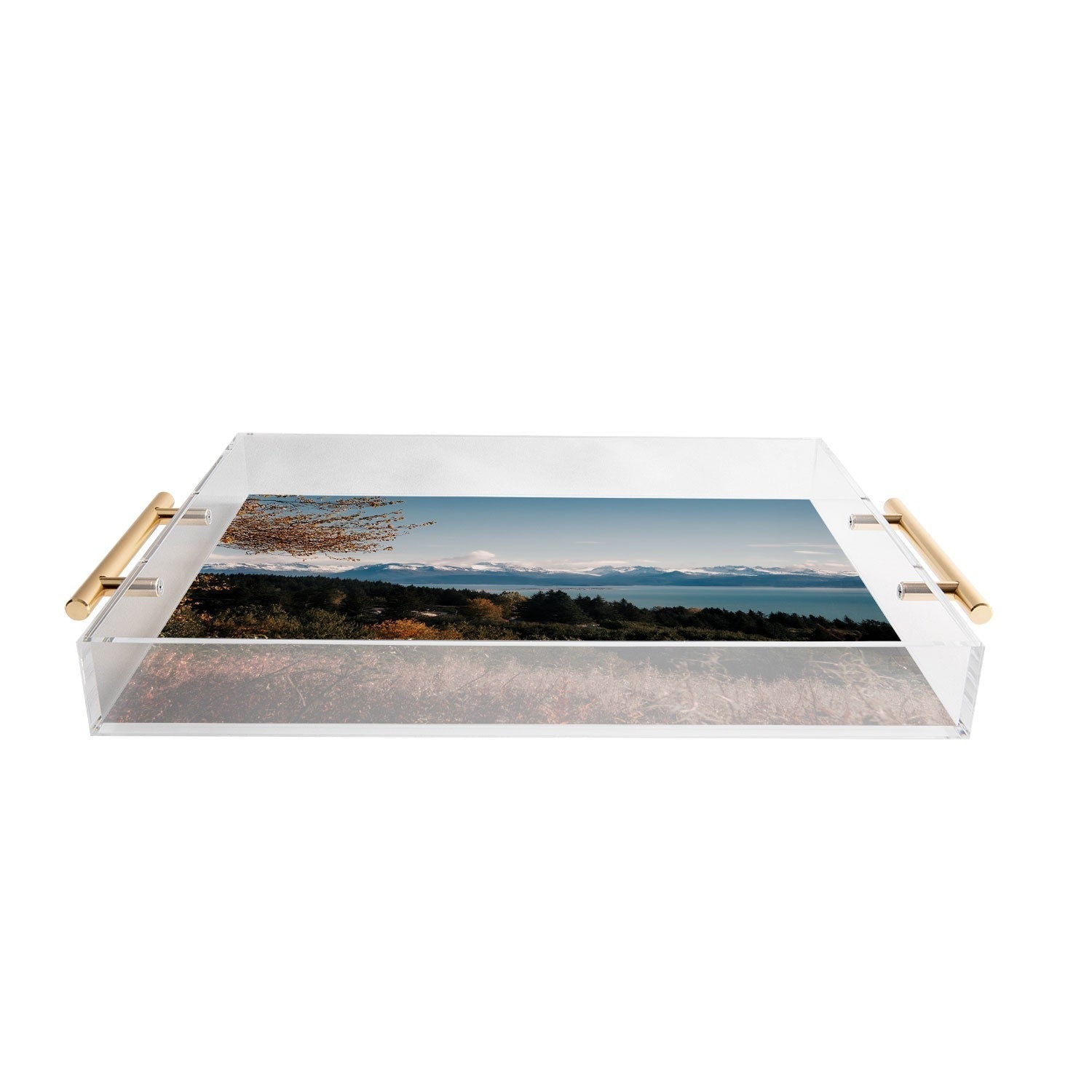 Hannah Kemp Homer Acrylic Tray