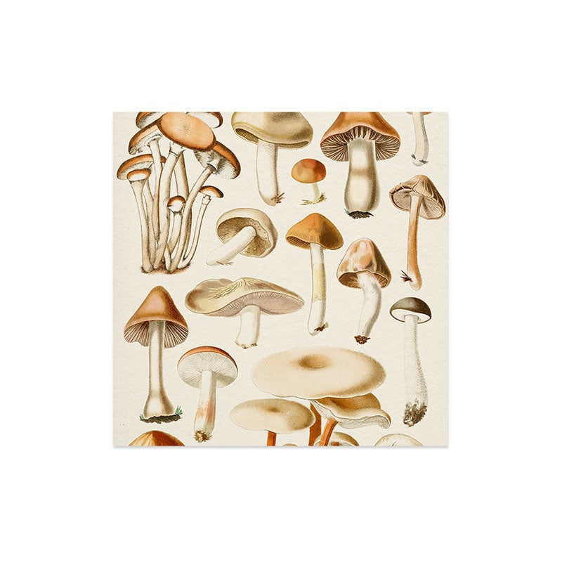 Gal Design Mushrooms Collection Art Print