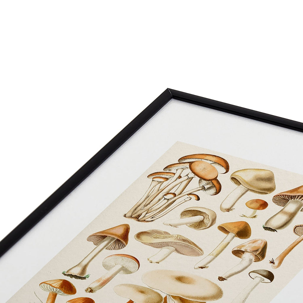 Gal Design Mushrooms Collection Metal Framed Art Print