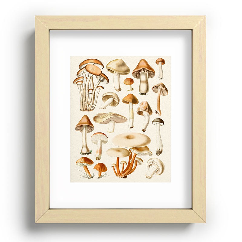 Gal Design Mushrooms Collection Recessed Framing Rectangle