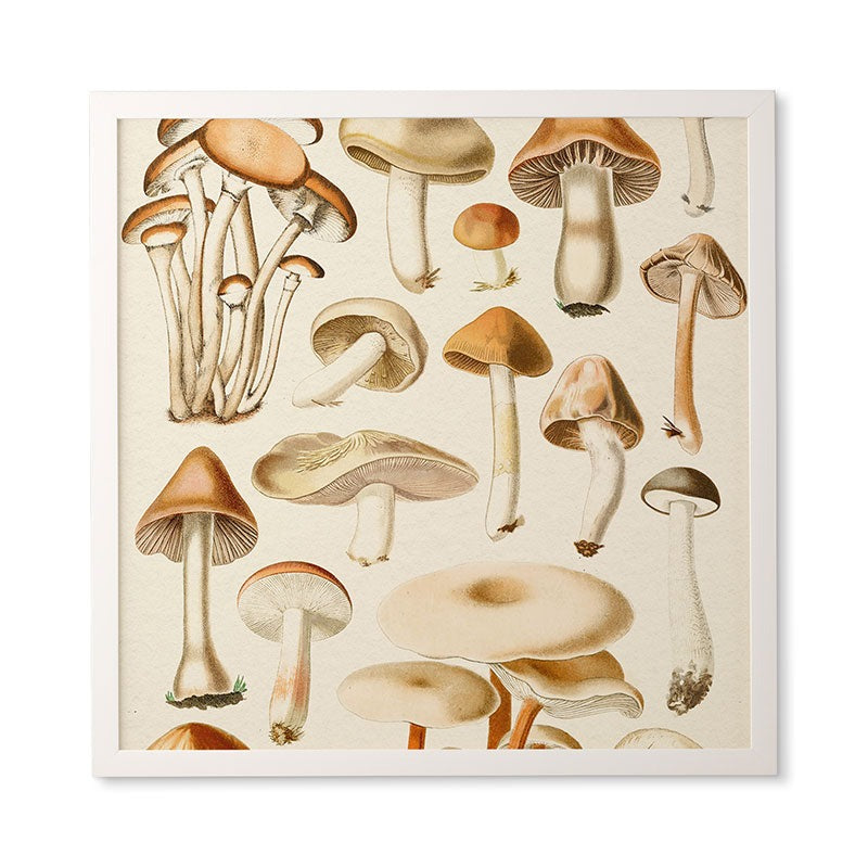 Gal Design Mushrooms Collection Framed Wall Art