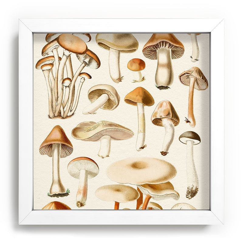 Gal Design Mushrooms Collection Recessed Framing Square