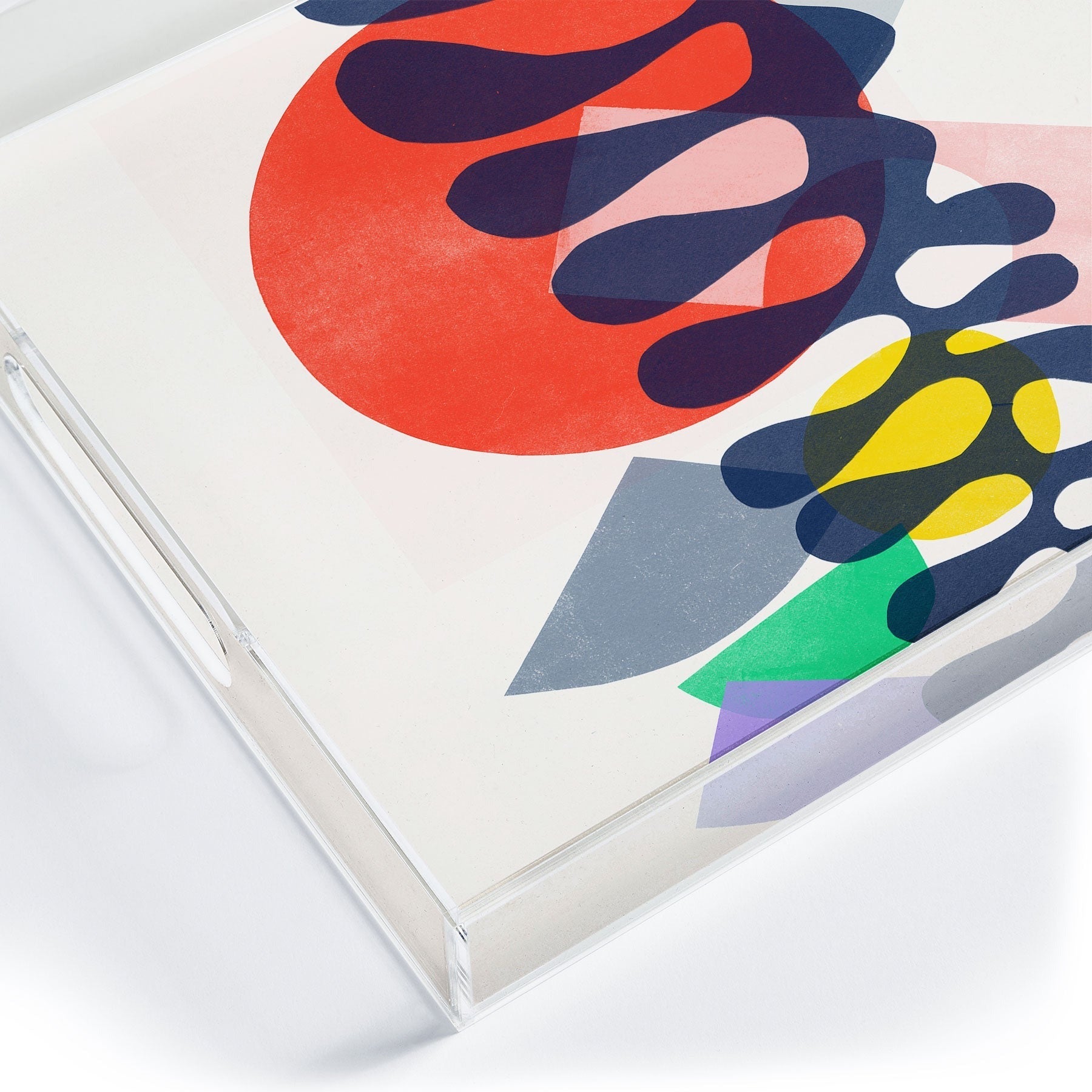 Garima Dhawan growing 1 Acrylic Tray