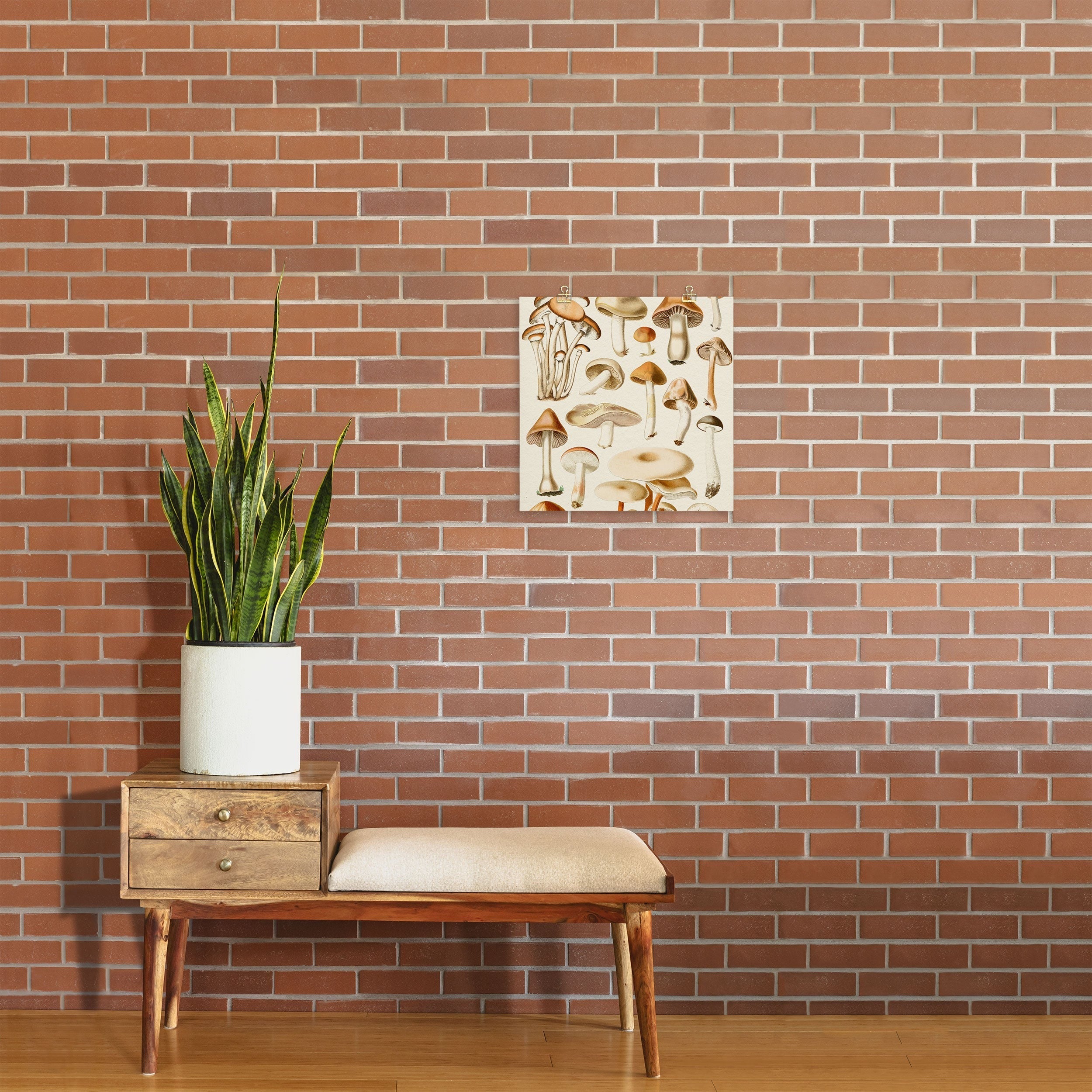 Gal Design Mushrooms Collection Art Print