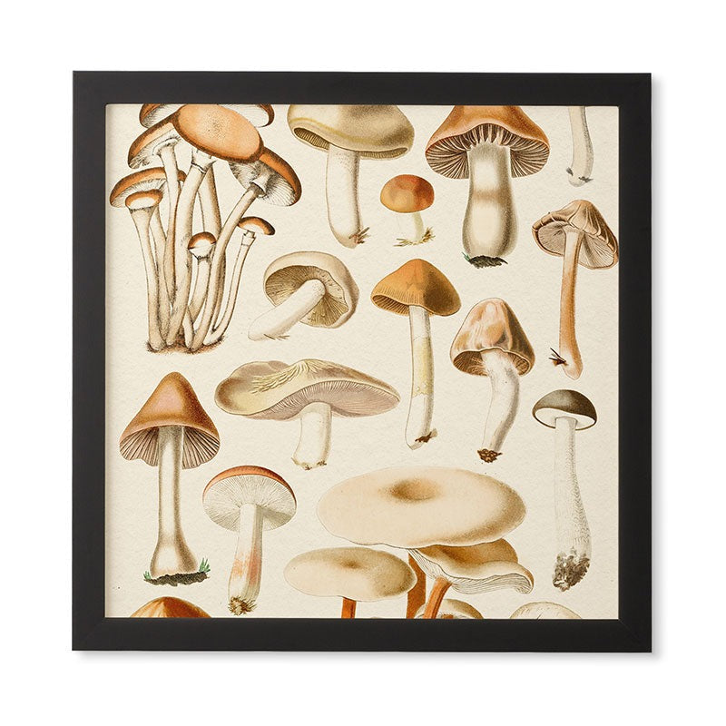 Gal Design Mushrooms Collection Framed Wall Art