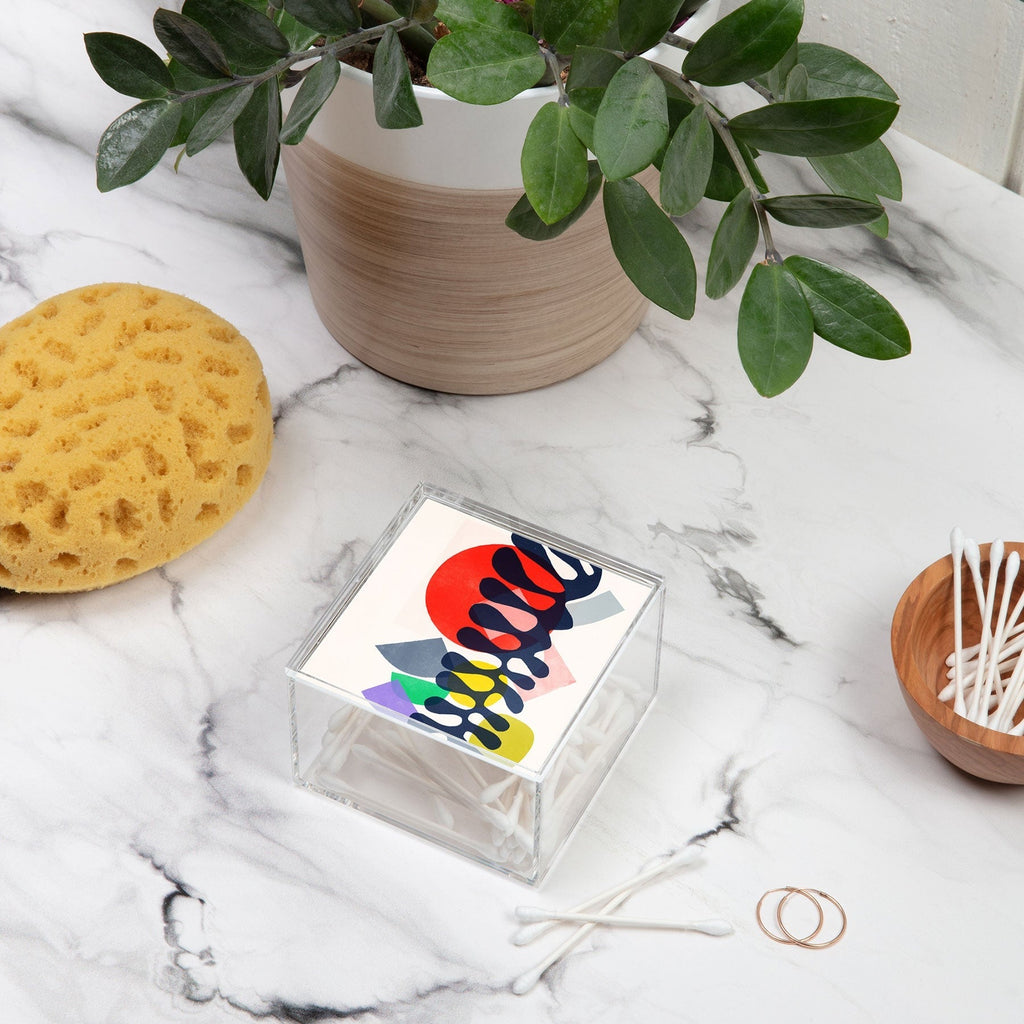 Garima Dhawan growing 1 Acrylic Box