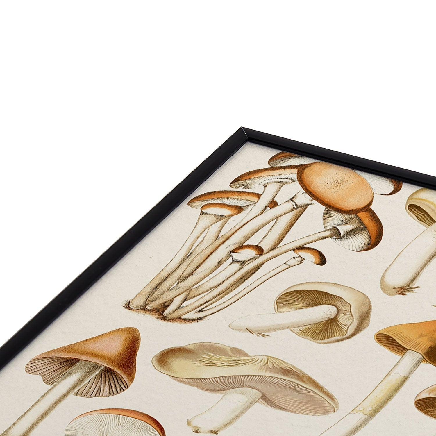 Gal Design Mushrooms Collection Square Metal Framed Art Print