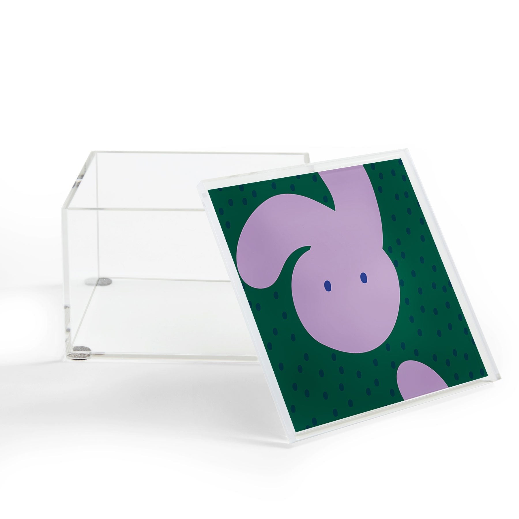 Camilla Foss Pebbles and Rabbit Acrylic Box