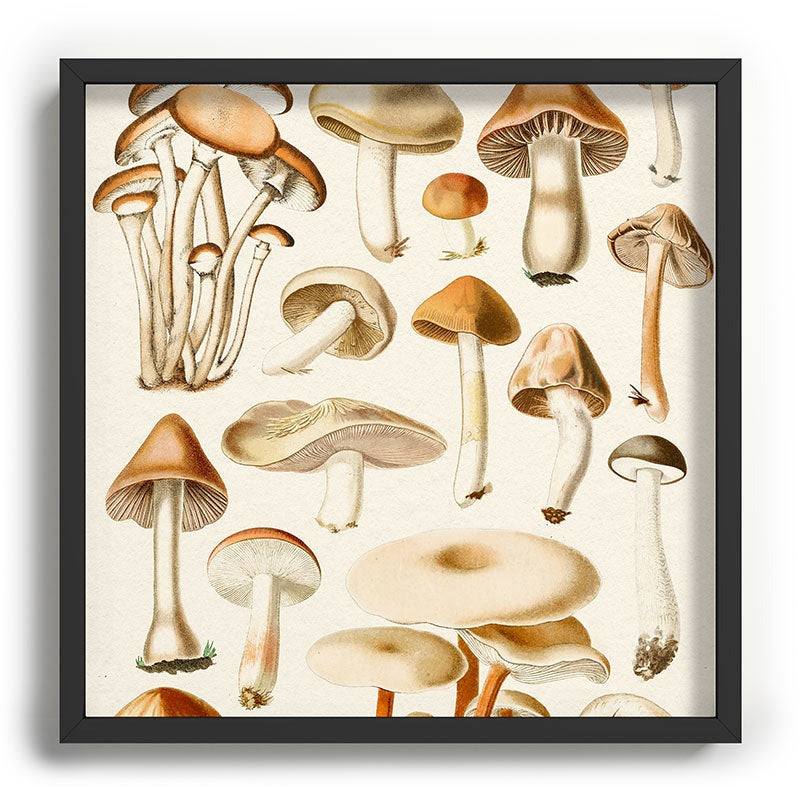 Gal Design Mushrooms Collection Recessed Framing Square