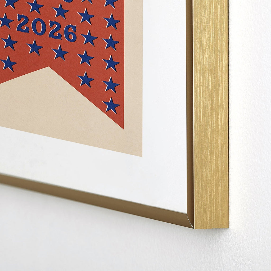 DENY Designs Star Banner Metal Framed Art Print