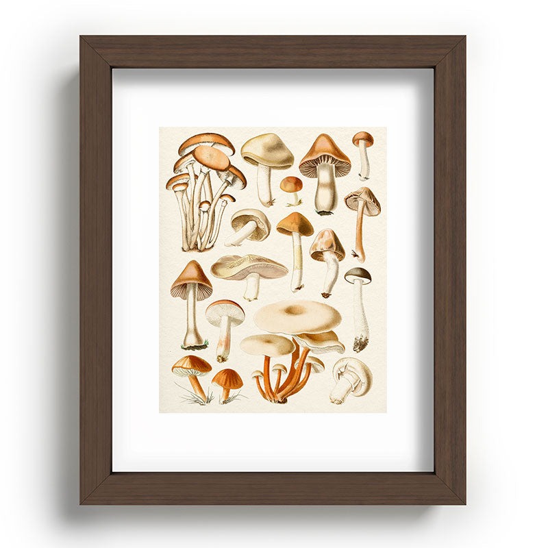 Gal Design Mushrooms Collection Recessed Framing Rectangle
