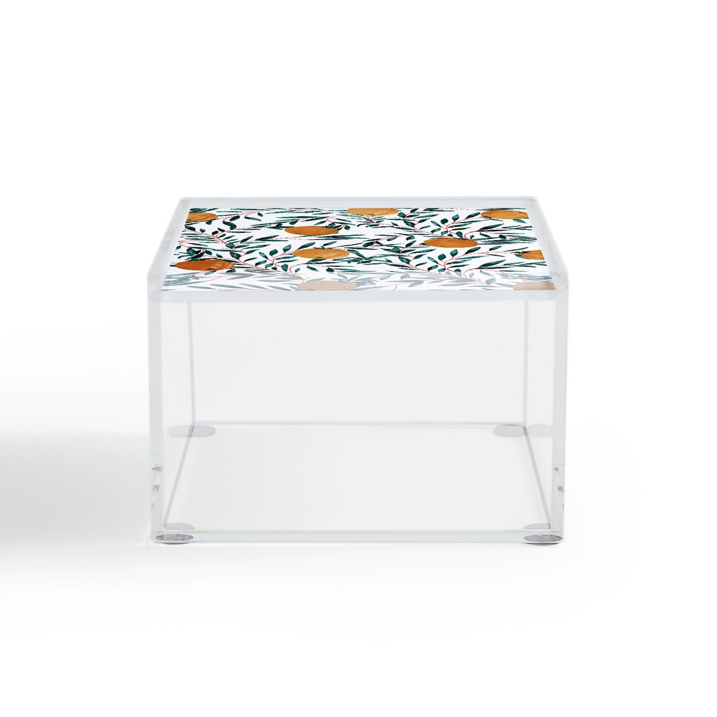 83 Oranges Mandarins Acrylic Box
