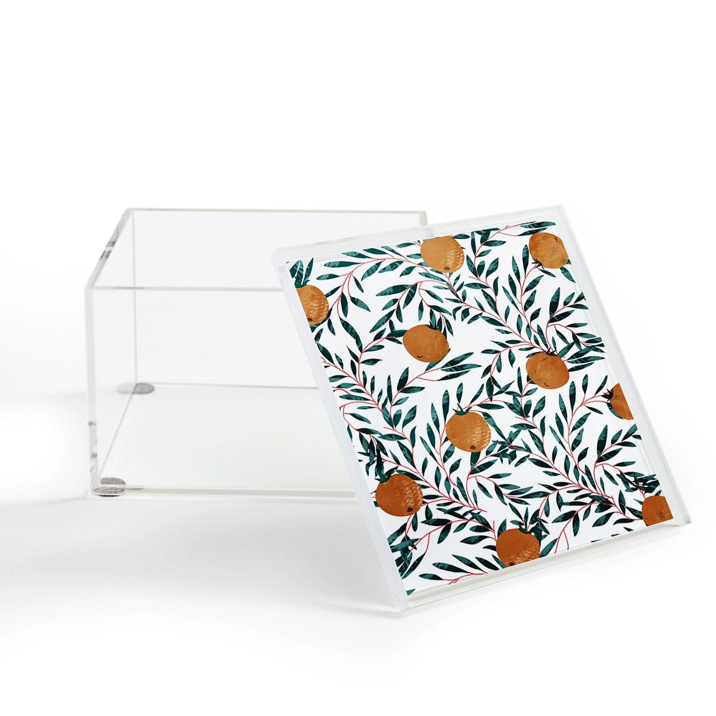 83 Oranges Mandarins Acrylic Box