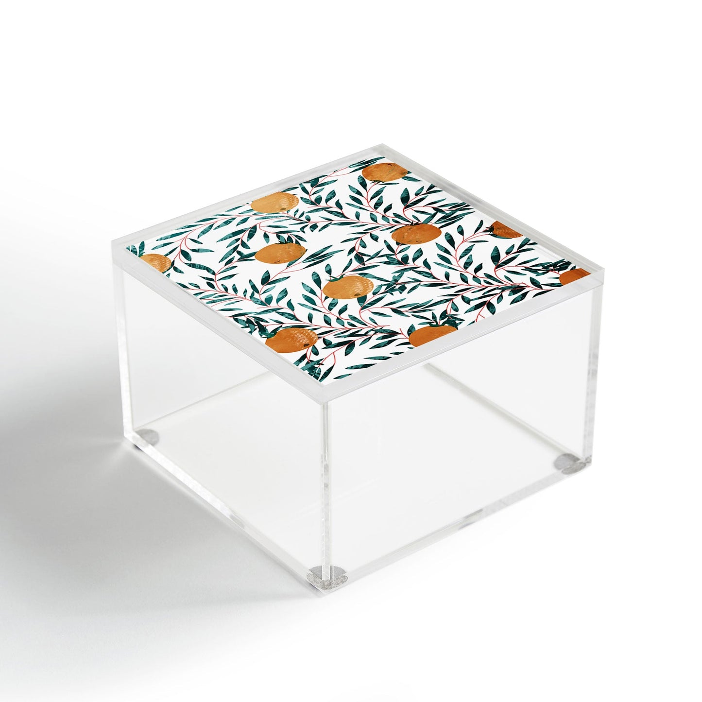 83 Oranges Mandarins Acrylic Box