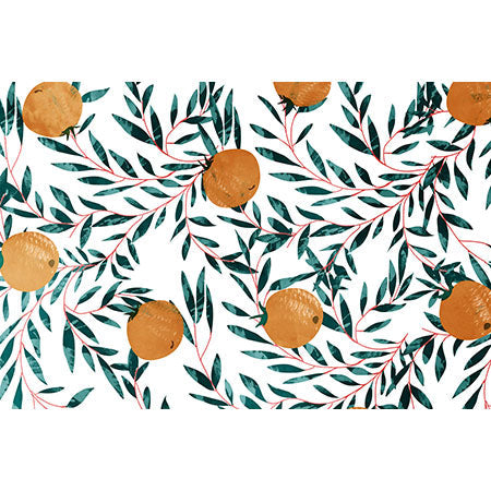 83 Oranges Mandarins Wall Mural