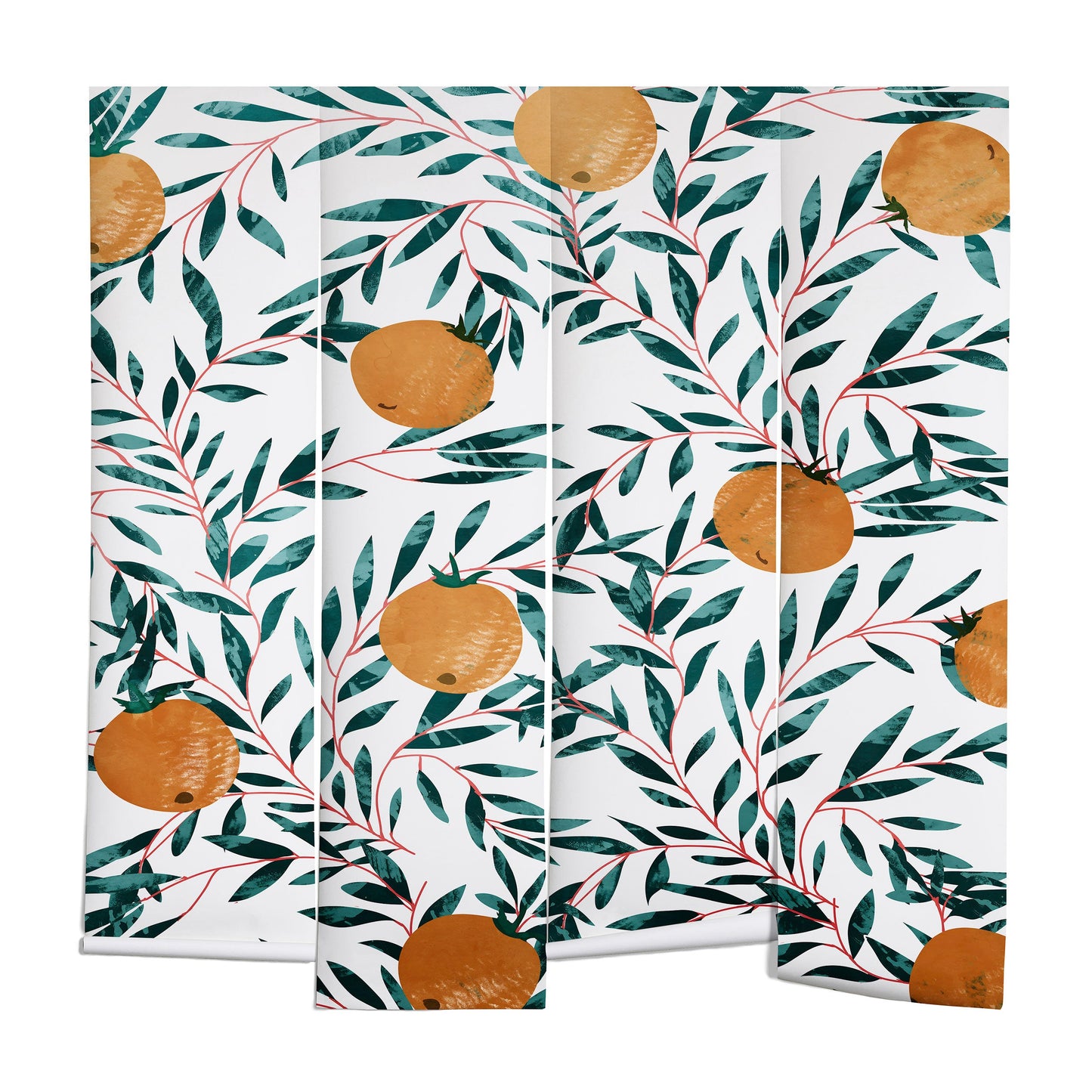 83 Oranges Mandarins Wall Mural