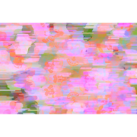 83 Oranges Pink Haze Wall Mural