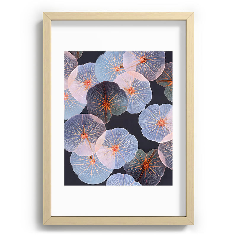 83 Oranges Translucence Recessed Framing Rectangle
