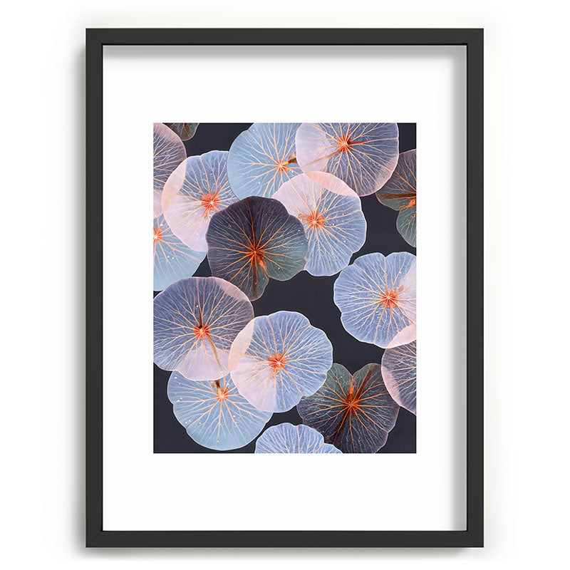 83 Oranges Translucence Recessed Framing Rectangle