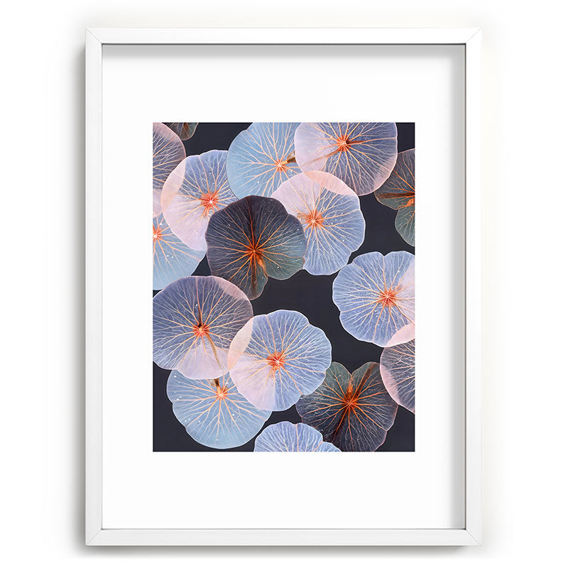 83 Oranges Translucence Recessed Framing Rectangle