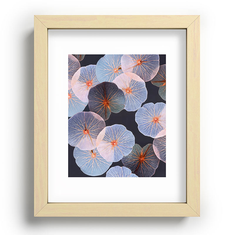 83 Oranges Translucence Recessed Framing Rectangle