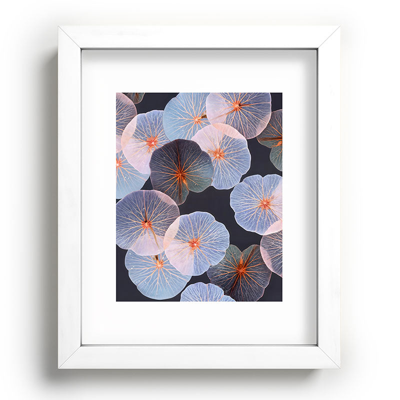83 Oranges Translucence Recessed Framing Rectangle
