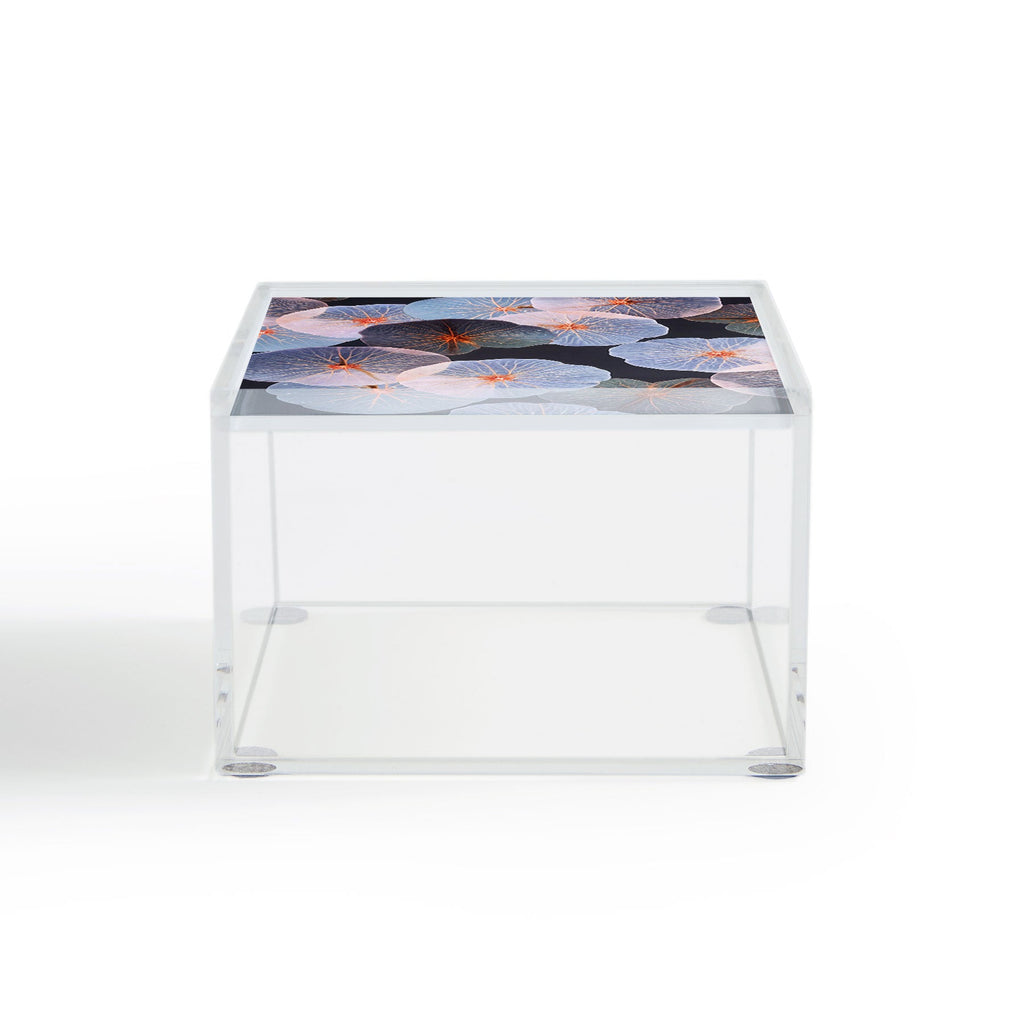83 Oranges Translucence Acrylic Box