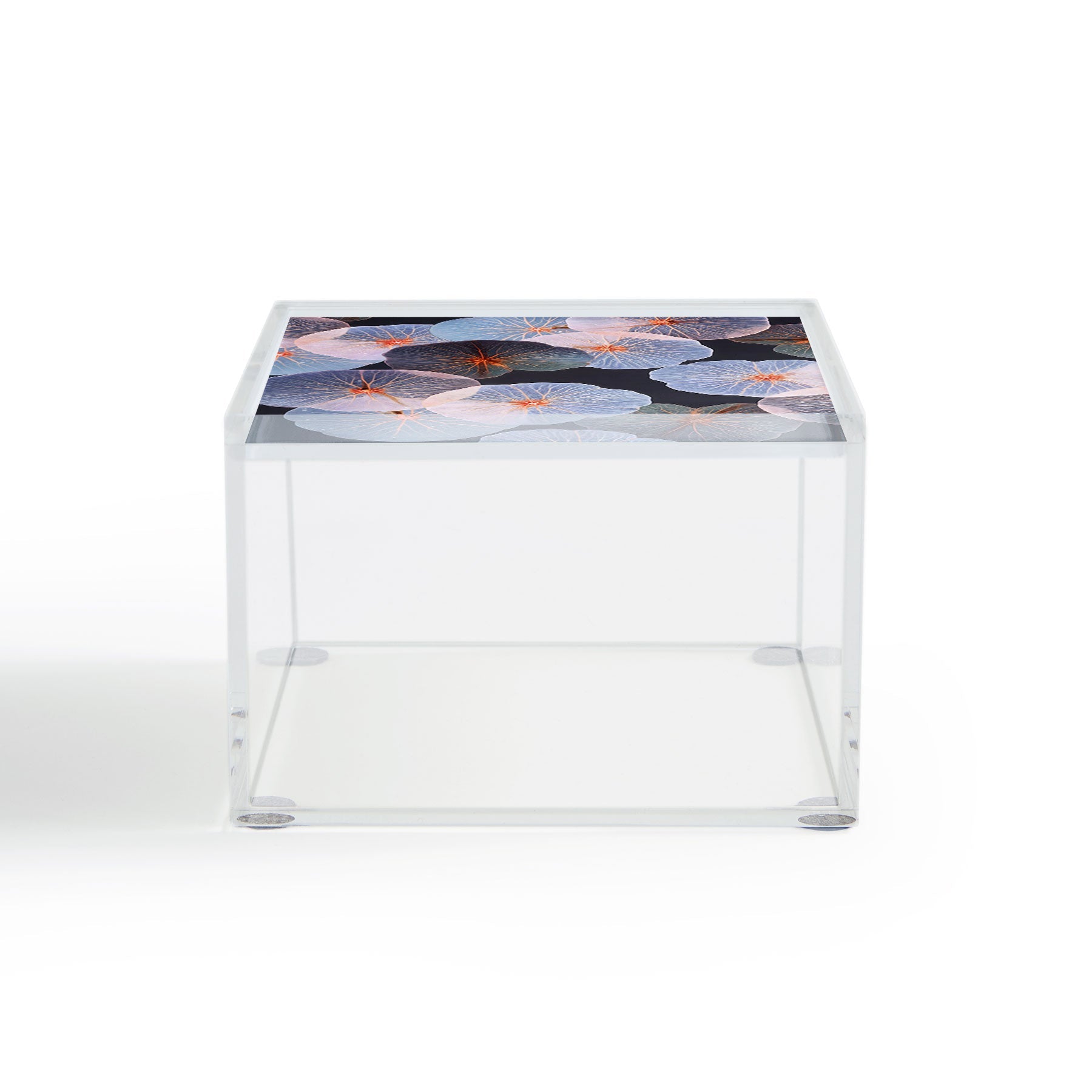 83 Oranges Translucence Acrylic Box