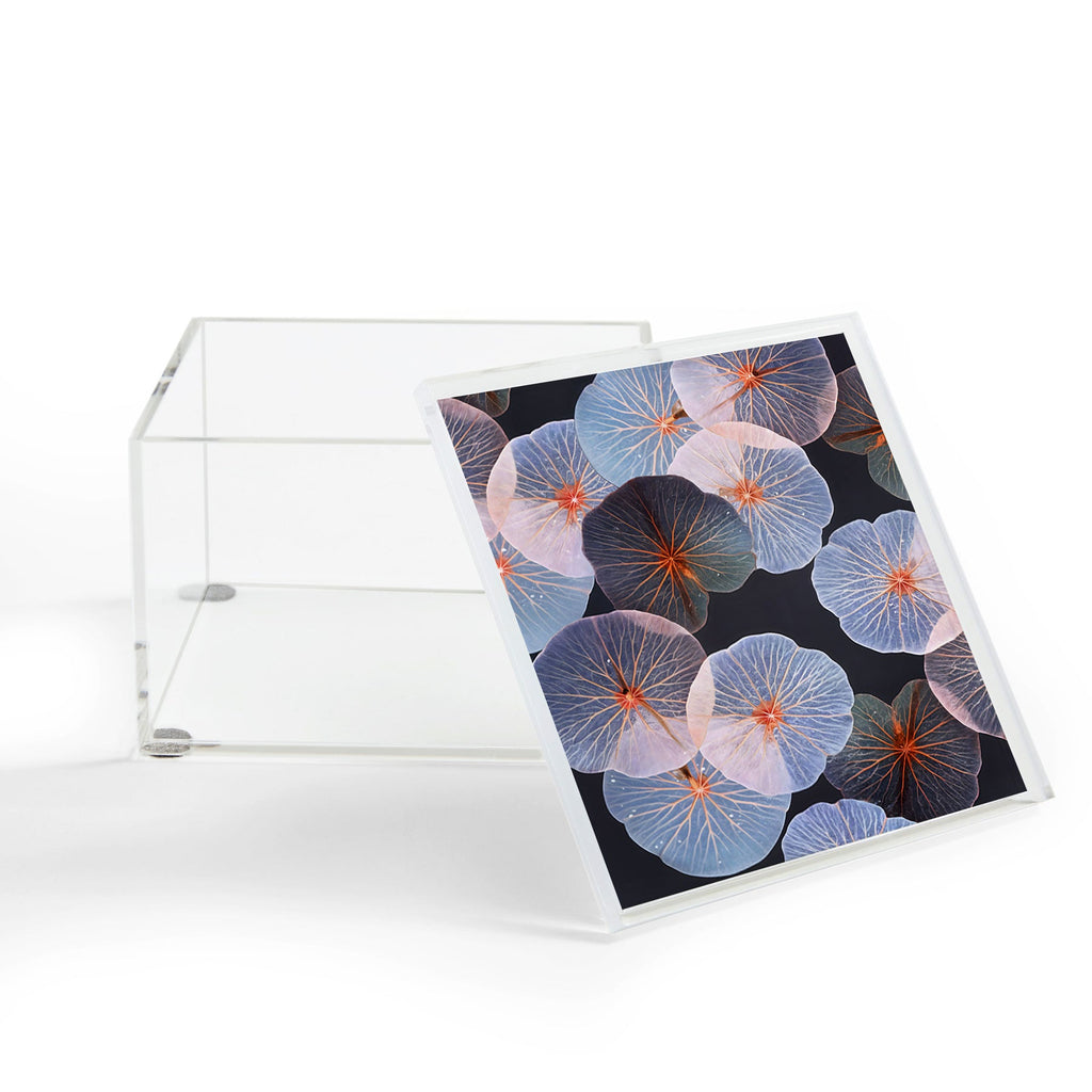 83 Oranges Translucence Acrylic Box