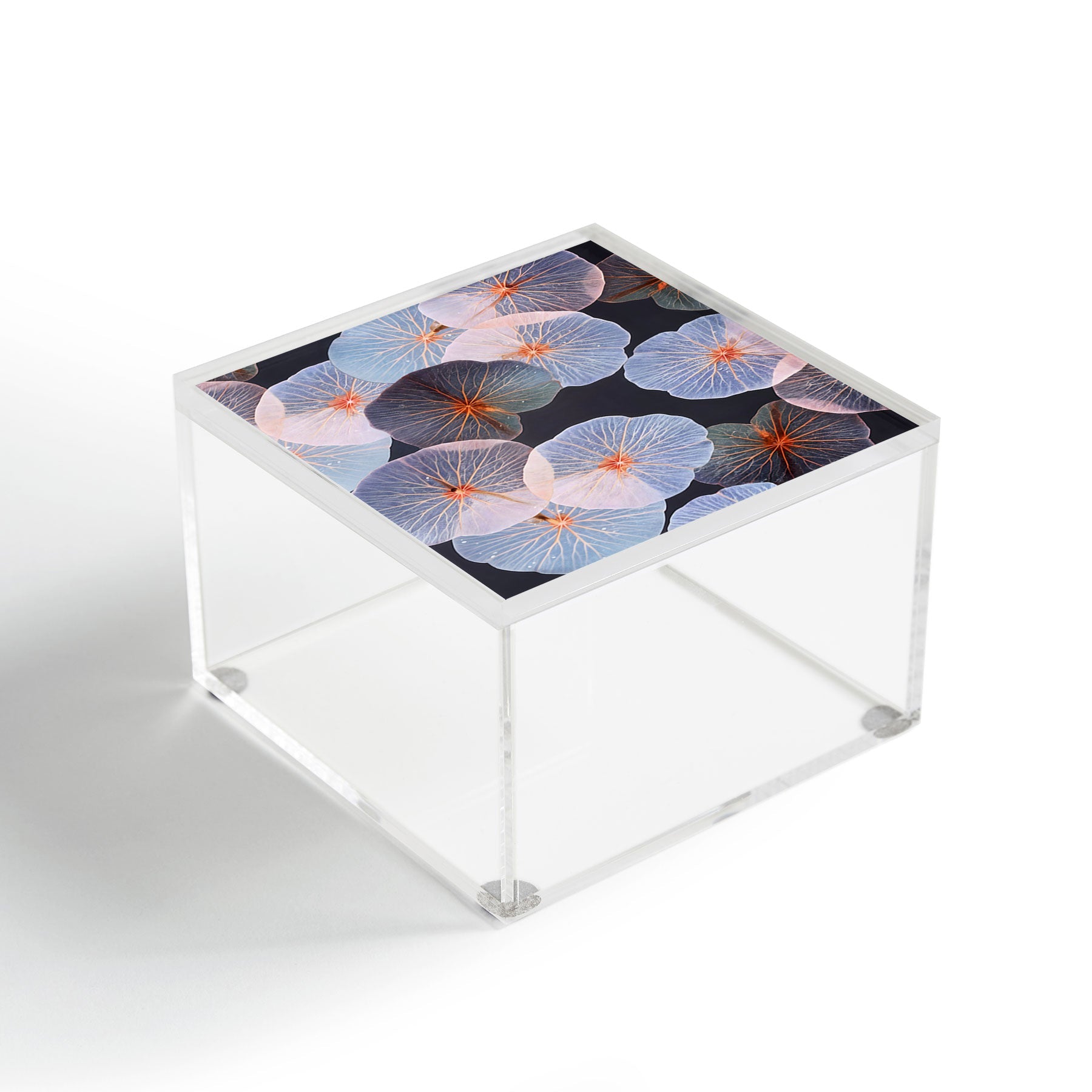 83 Oranges Translucence Acrylic Box