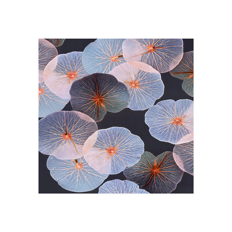 83 Oranges Translucence Art Print