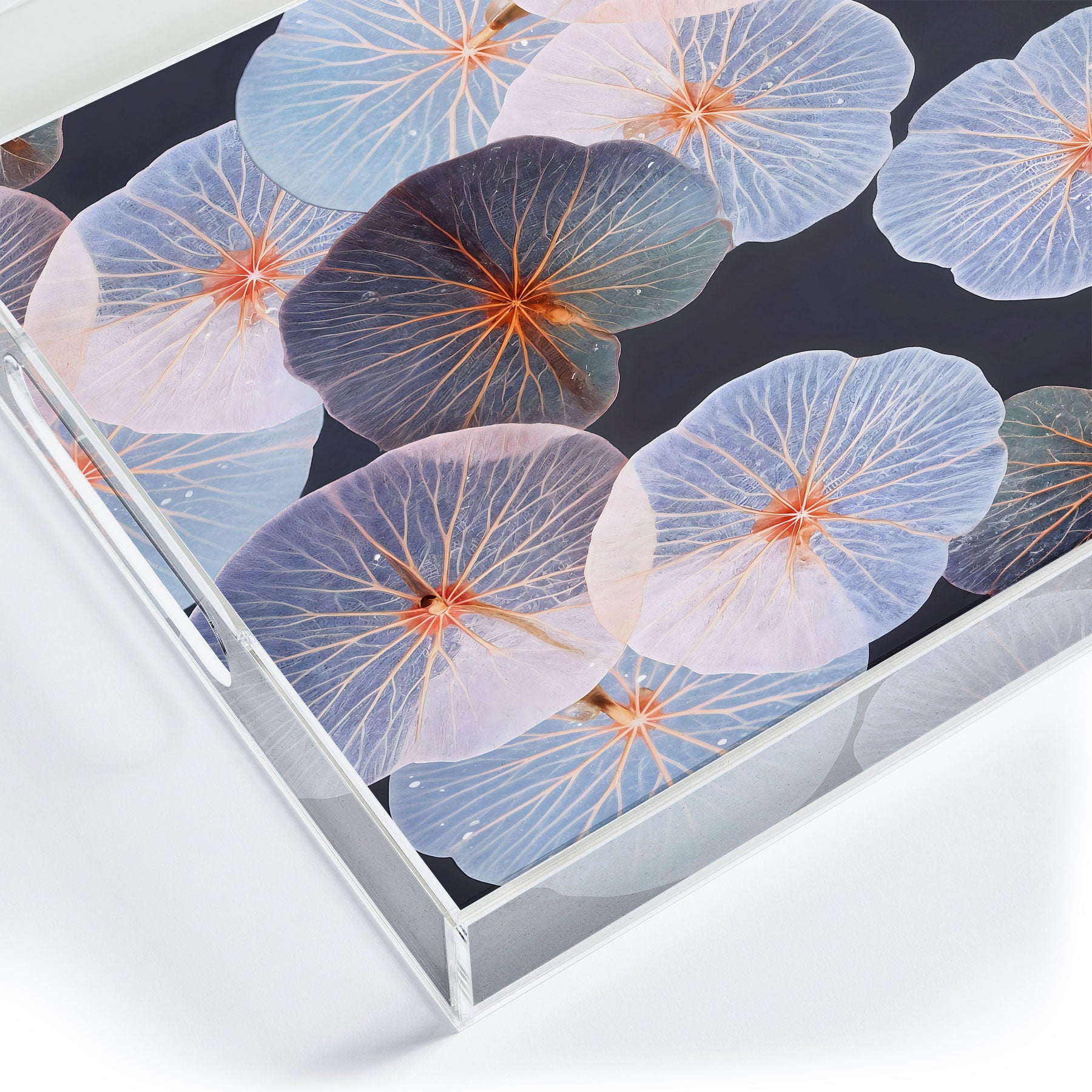 83 Oranges Translucence Acrylic Tray