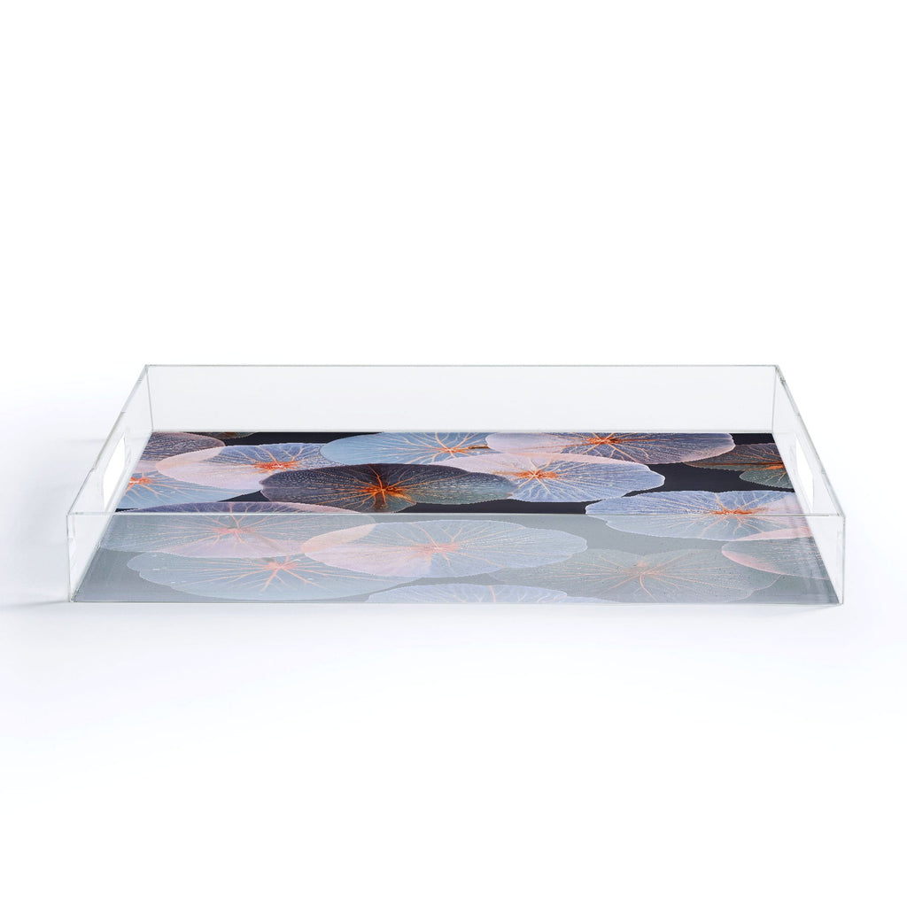 83 Oranges Translucence Acrylic Tray