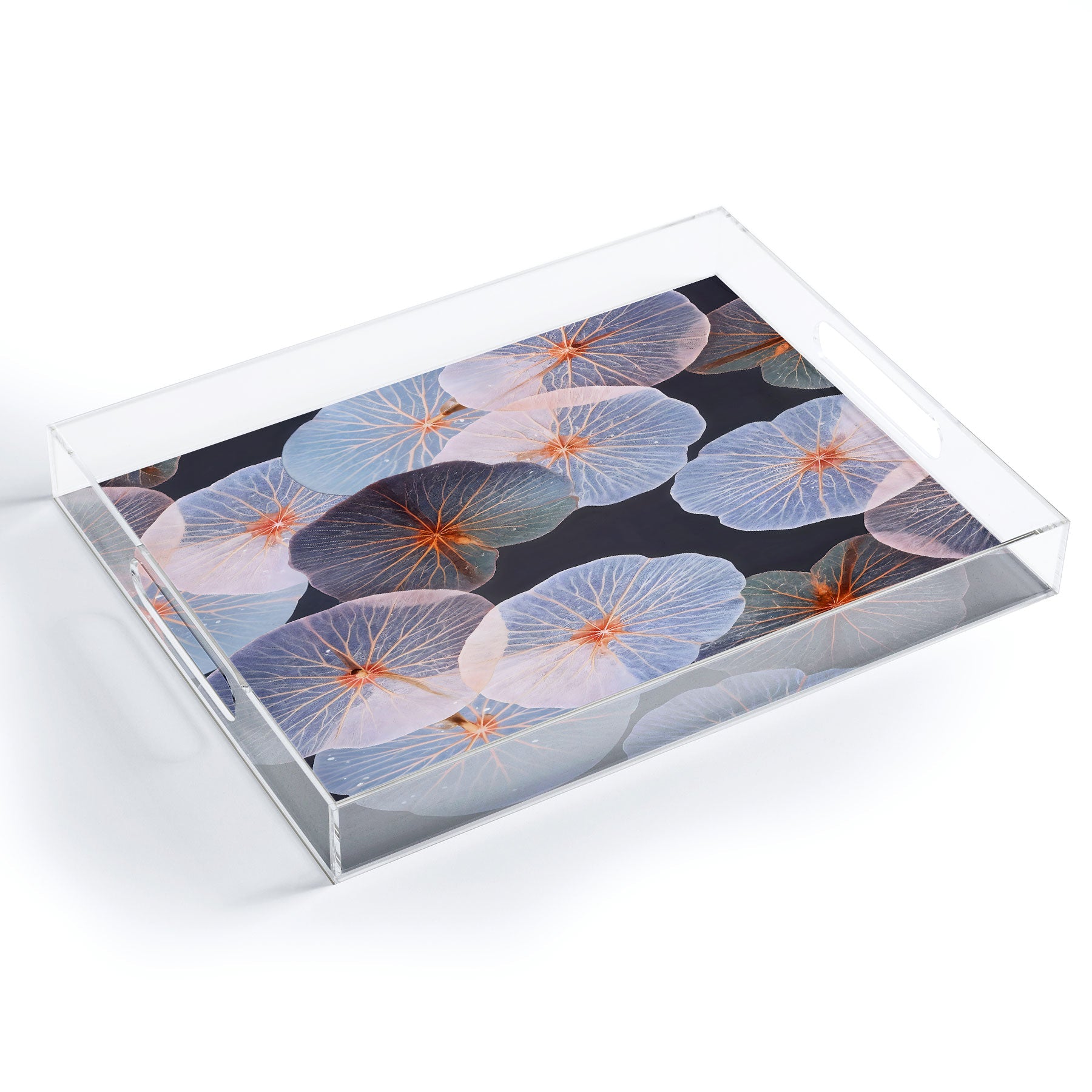83 Oranges Translucence Acrylic Tray