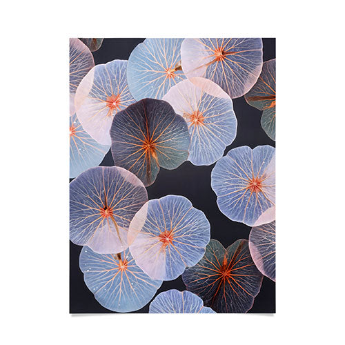 83 Oranges Translucence Poster