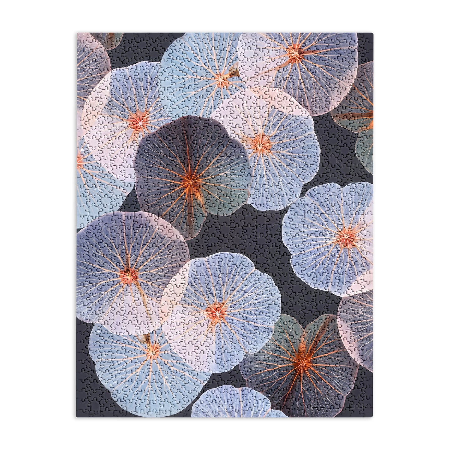83 Oranges Translucence Puzzle
