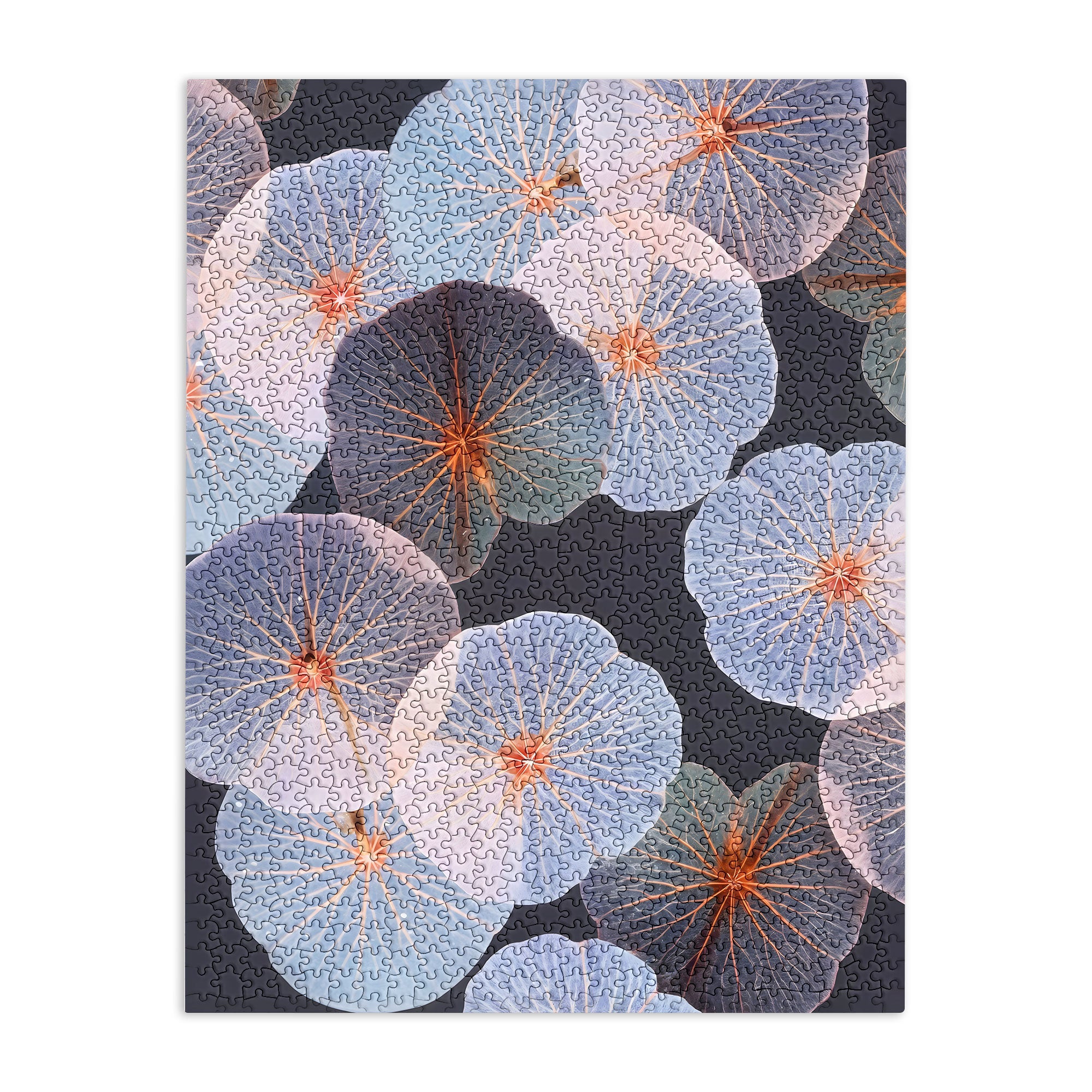 83 Oranges Translucence Puzzle