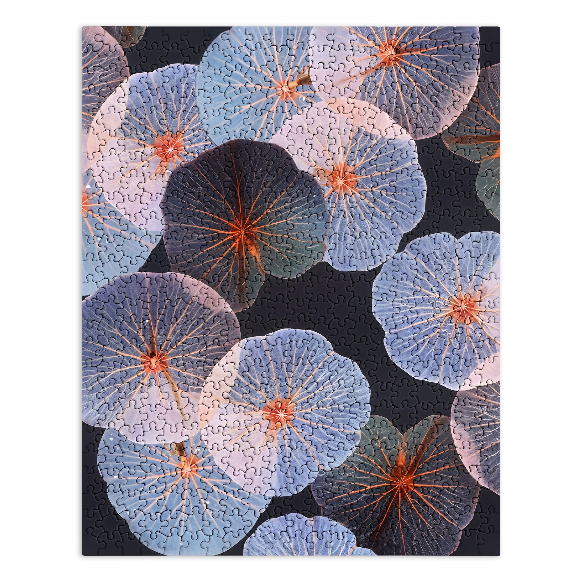 83 Oranges Translucence Puzzle