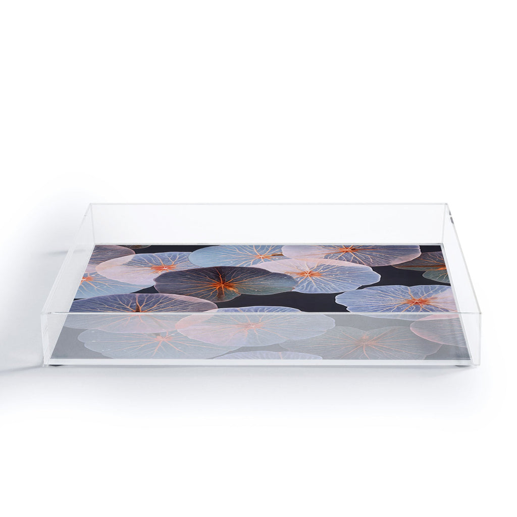 83 Oranges Translucence Acrylic Tray