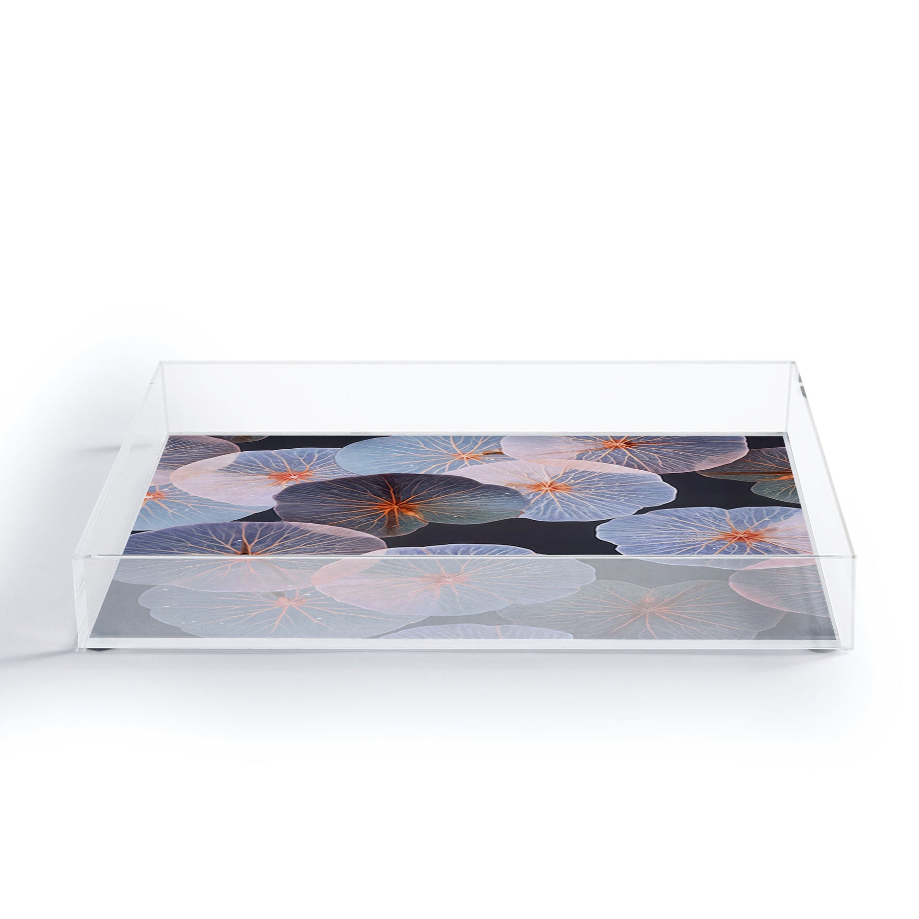 83 Oranges Translucence Acrylic Tray