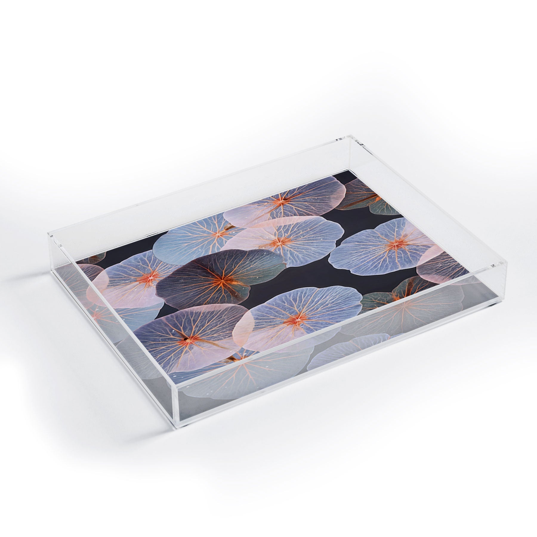 83 Oranges Translucence Acrylic Tray