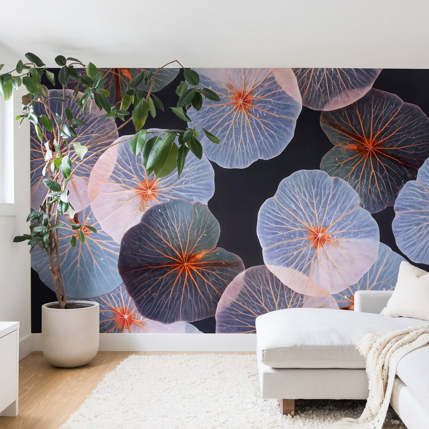 83 Oranges Translucence Wall Mural
