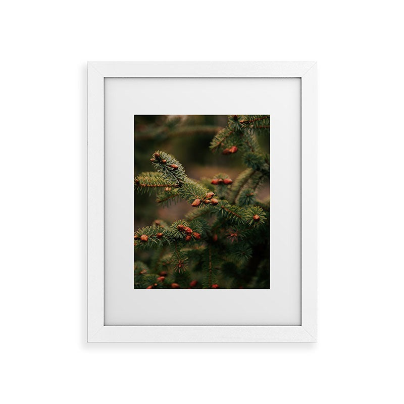 Hannah Kemp Spruce Tips Framed Art Print