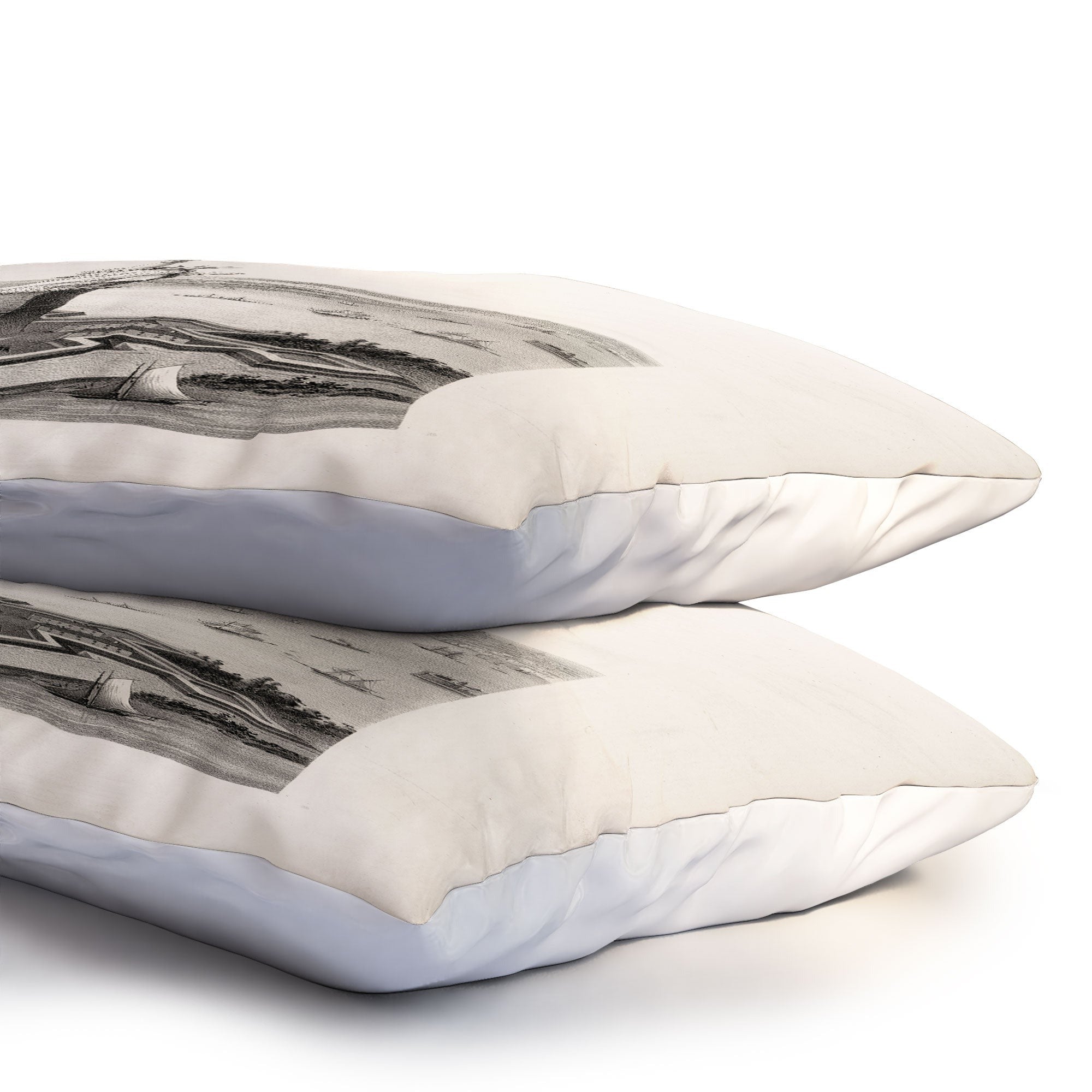 DENY Designs Vintage Lady Liberty Pillow Shams