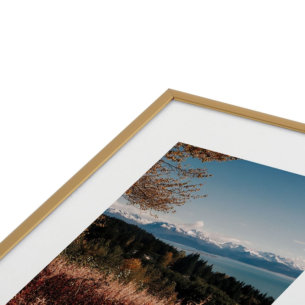 Hannah Kemp Homer Metal Framed Art Print