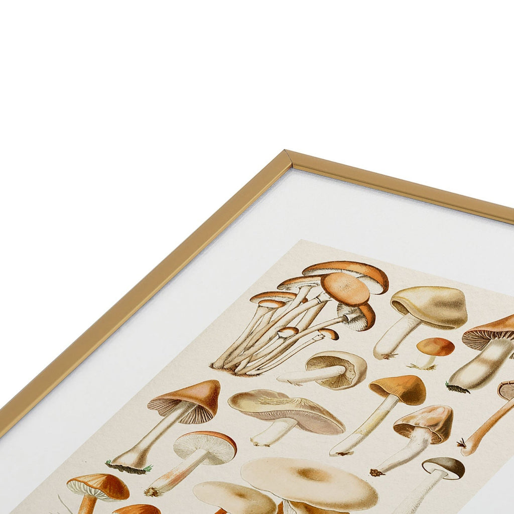 Gal Design Mushrooms Collection Metal Framed Art Print