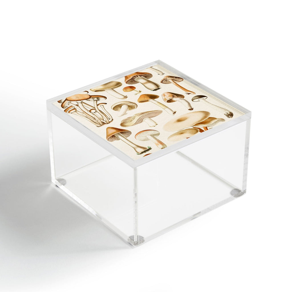 Gal Design Mushrooms Collection Acrylic Box