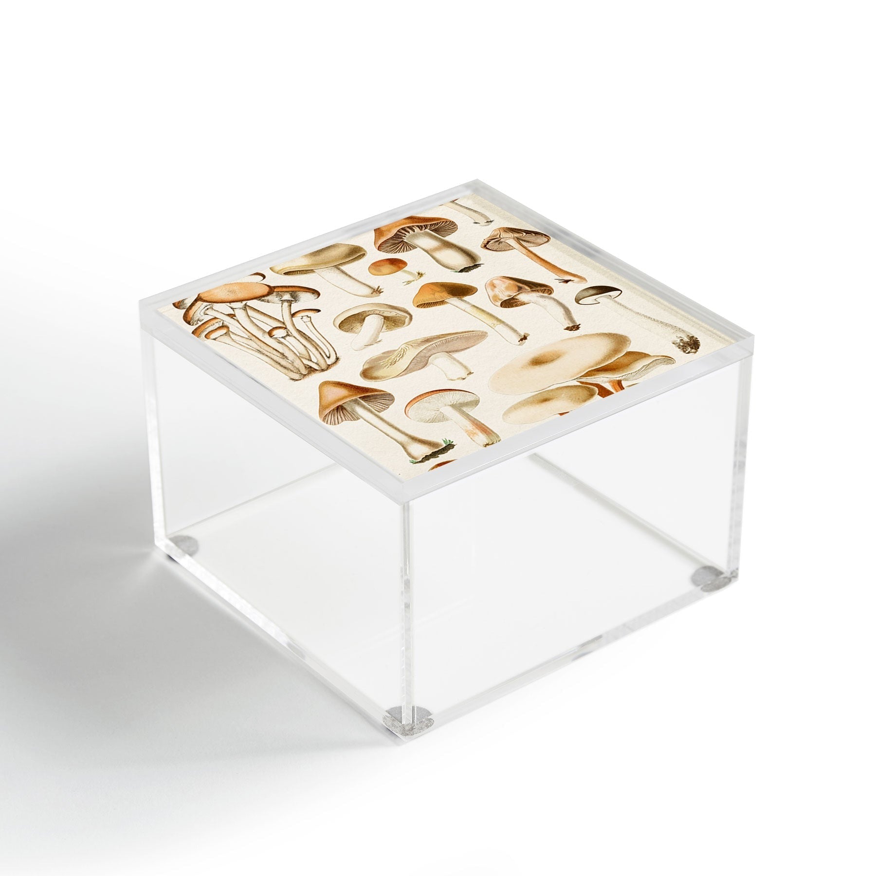 Gal Design Mushrooms Collection Acrylic Box